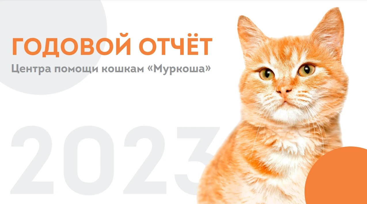 Итоги работ. Годовой отчет