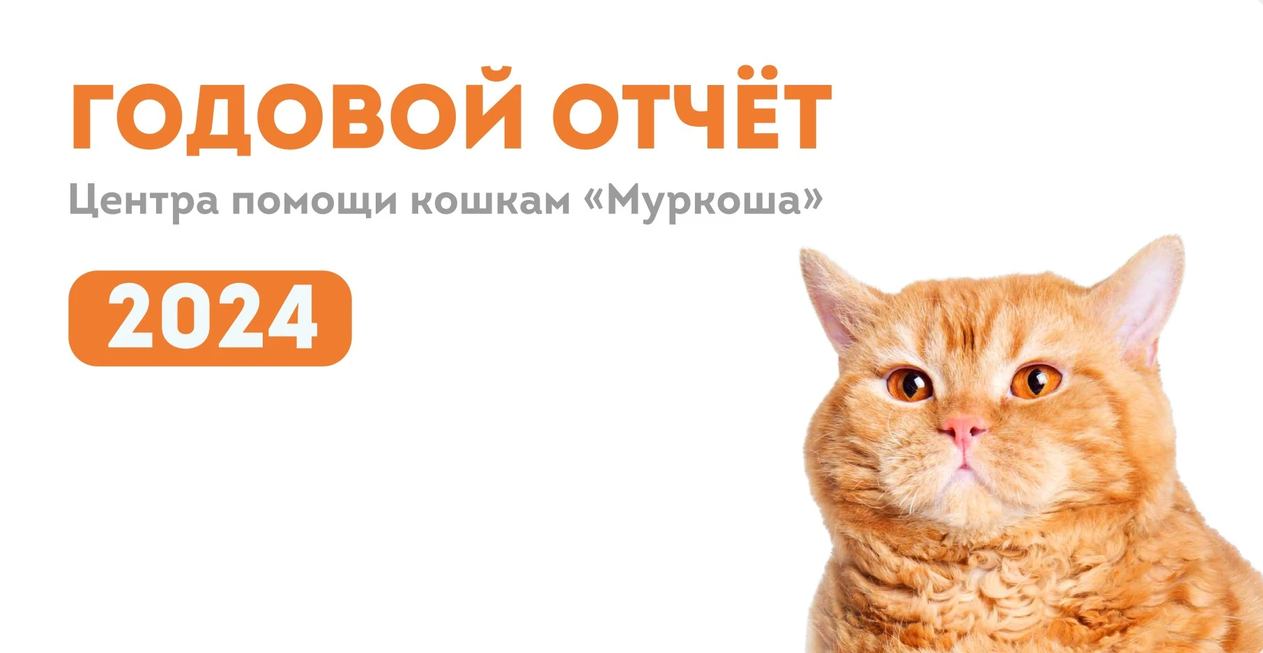 Итоги работ. Годовой отчет