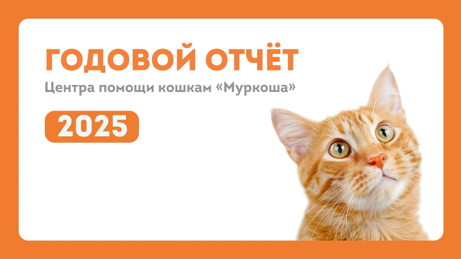 Итоги работ. Годовой отчет
