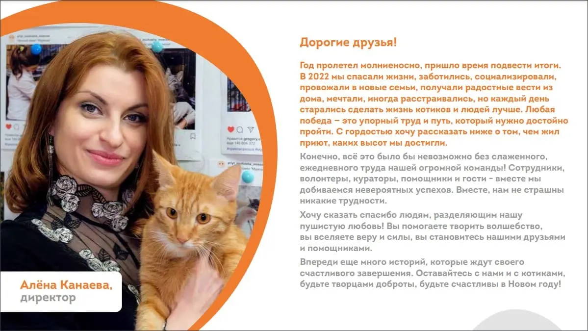 Итоги работ. Годовой отчет